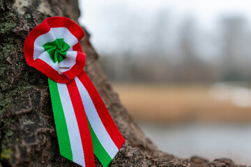 Hungarian tricolor cockade