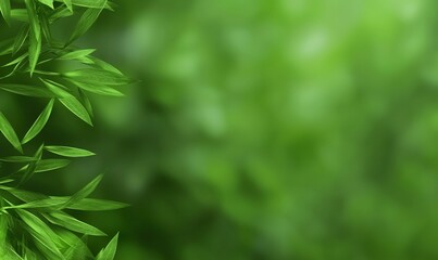 Fresh green leaves border a soft, blurry backdrop. Natural and calm with space for text or other creative elements