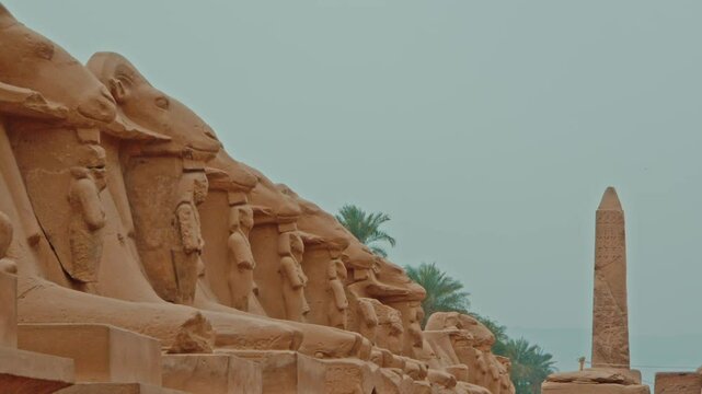 Karnak temple: the main courtyard - The row of ram-headed sphinxes, Luxor, Egypt