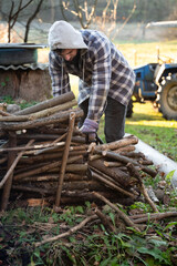 Chainsaw in action as a person cuts branches in a lush garden during a bright afternoon, preparing wood for future projects and enhancing outdoor space