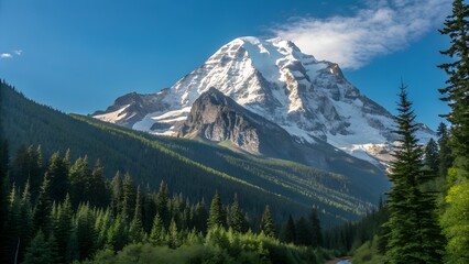 Snow-Capped Mountain with Pine Forest &ndash; Clear Sky Scene, Nature, Landscape, Wilderness, Elevation, Background