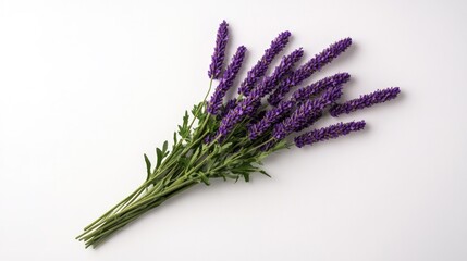 Naklejka premium Vibrant lavender bouquet showcasing rich purple hues and delicat
