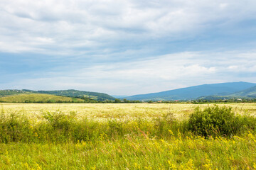 rural landscape with field and mountain in summer. green nature outdoor with grass and hill. countryside scenery for travel with cloud on sky. tourism background with beautiful view