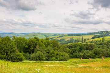 Fototapeta premium rural landscape with field and mountain in summer. provincial farmland. green nature outdoor with grass and hill. countryside scenery for travel with cloud on sky. tourism background with nice view