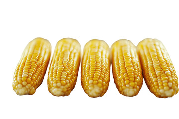 Close-up of Fresh Corn Cobs on a White Background