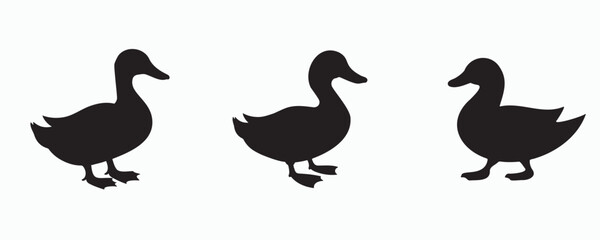 Set of three black duck silhouettes in various poses on a light gray background, showcasing different stances and movements