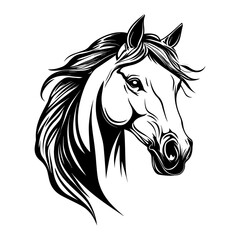 A stylish black and white vector illustration of a horse head, featuring bold lines and dynamic details. Ideal for logos, tattoos, equestrian themes, branding, and artistic designs.