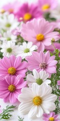 Fototapeta premium Beautiful blooming, fresh, colorful chrysanthemums forming a textured floral background,