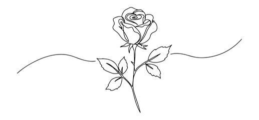 single blooming rose flower with leaves drawn in elegant line art style