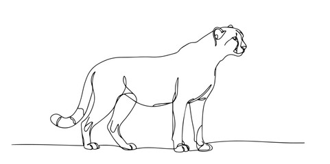cheetah sitting and observing drawn in calm and sleek line art