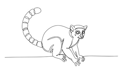 lemur with striped tail sitting in alert pose drawn in simple line drawing