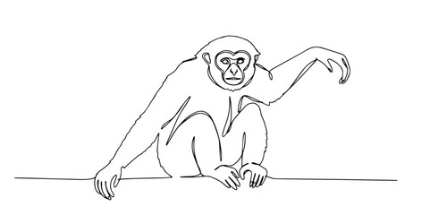 monkey sitting in relaxed pose drawn in playful one line vector style © Wieslaw