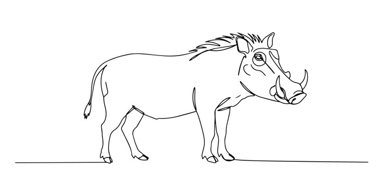 warthog with tusks drawn in simple african wildlife one line style
