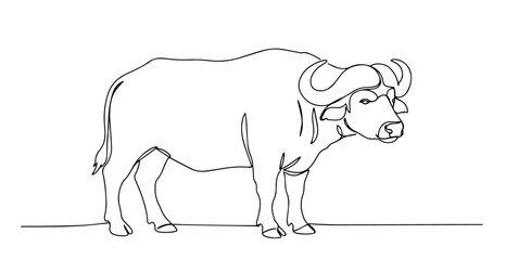african buffalo standing with curved horns in minimalist one line style