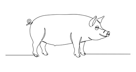 pig hand drawing one line vector monoline