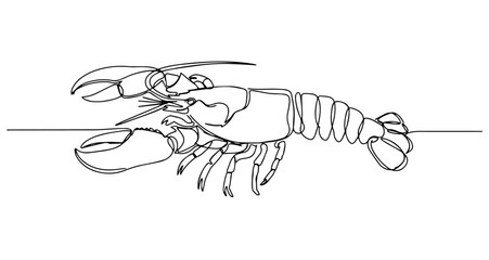 lobster vector monoline one line line art
