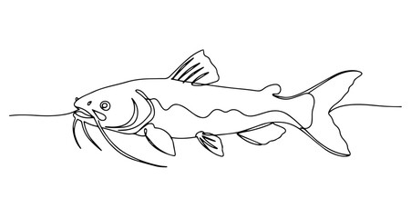 catfish vector monoline one line line art
