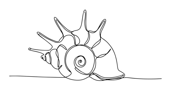 spiky seashell snail vector monoline one line line art