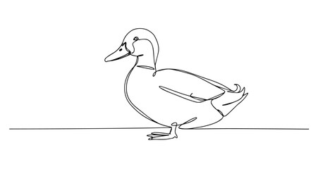 duck water bird floating wildlife vector monoline one line line art