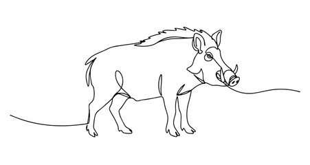 wild boar forest animal mammal vector monoline one line line art