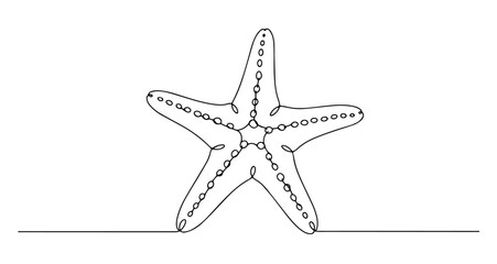 Obraz premium starfish ocean sea marine animal vector monoline one line line art