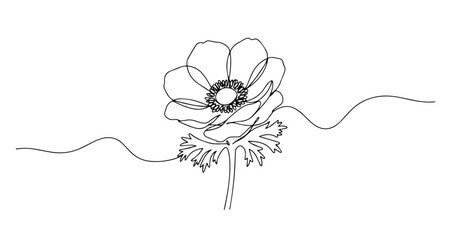 anemone flower illustration line art one line vector monoline