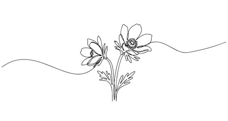 anemone flower vector monoline one line line art sketch illustration © Wieslaw