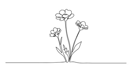 buttercup flowers vector monoline one line line art sketch illustration