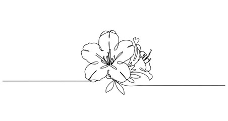 azalea flower branch vector monoline one line line art sketch illustration