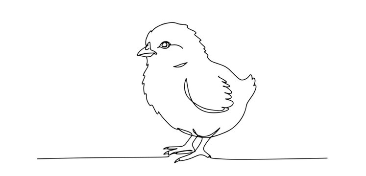 recommend clip art: cute little chick monoline vector, one line baby bird illustration