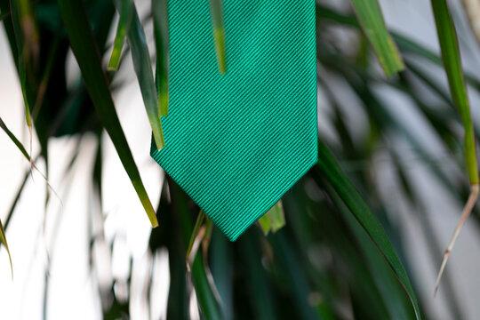 Fototapeta tejido, con textura, verde, don nadie, tejidos, material, algodón, lana, moda, regalo, close-up, seda, amcro, zoom