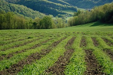 Agricultural landscape with fields and mountains in the distance, suitable for use in presentations or as a backdrop