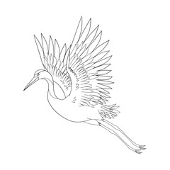Black and white line drawing illustration of a heron bird flying with wings outstretched. Simple and elegant design.