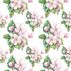 Seamless pattern with apple flowers.Beautiful floral background on a white background with white apple flowers.Watercolor floral background