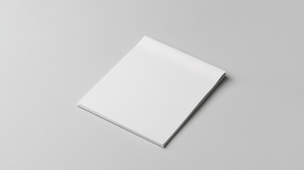 Organized Presentation: Pristine Document Sheet with Bullet Points on White Surface