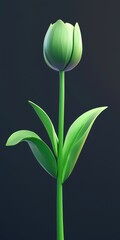 Vibrant Green Tulip Flower with Smooth Petals and Leaves on a Dark Background