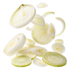 Floating Fennel Slices: Food Photo isolated on transparent background