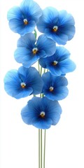 Elegant Blue Flowers with Delicate Petals Designed for Floral Arrangements and Nature-Inspired Decor