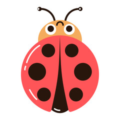 Vector image of a cute ladybug