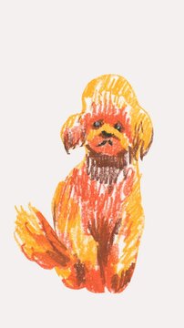 Animation with cute maltipoo dog.
 Animalistic vertical video with illustration drawn with wax crayons and oil pastels in a childish style