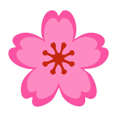 Fototapeta premium Primavera en Japón. Flor Sakura 