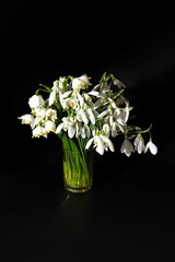Spring flowers background. A bouquet of snowdrops in a glass vase.