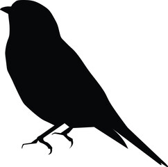 Bird silhouette vector illustration
