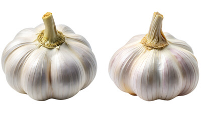 Obraz premium Garlic set, Set of two garlic collections isolated