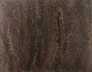 Decorative plaster texture, ornamental parget background. Modern interior pargeting, stucco