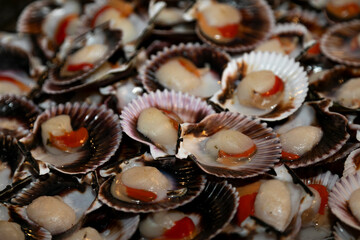 alimento, peces, marisco, gamba, salubre, comida, epicúreo, calamar, camarones, crudo, mar, mercado, fresco, delicioso, cocción, pesca, concha, berberecho