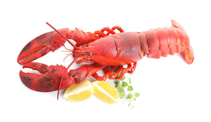 Tasty boiled lobster, lemon and microgreens isolated on white, above view