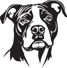 vector illustration of an american staffordshire terrier dog