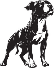 american staffordshire terrier dog