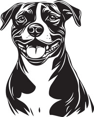 portrait of an american staffordshire terrier dog